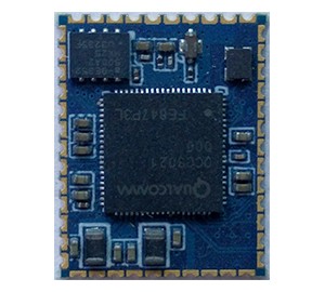 Q3021 Module