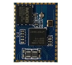 Q5124 Module